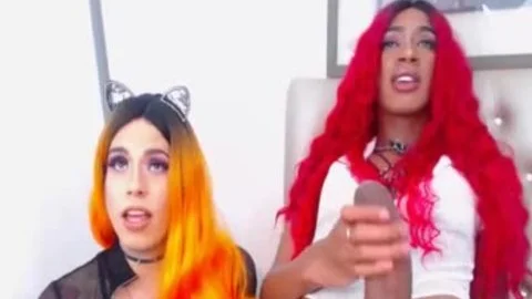 Real Anaconda 10-Pounder Sucked By tgirl friend