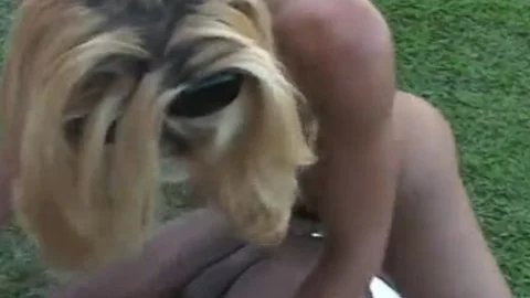 Two homosexual dudes And ladyboy Lisa Lawer outdoors fucking Each Others ass Holes
