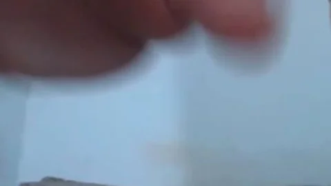 lewd sheboy duo nailing Each Other